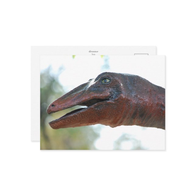 postcard _ dinosaur (Front/Back In Situ)