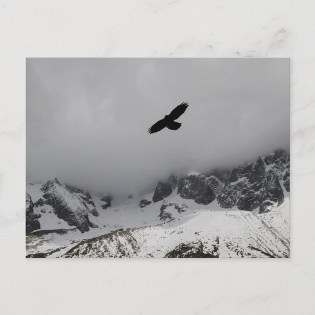 Postcard Eagle Snowy Mountains (Front)