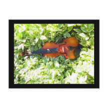 Postcard Fiddle and Ivy Violin post card