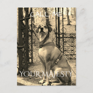 Postcard for dogs lovers with text and photo