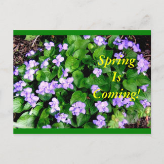 Postcard for Spring
