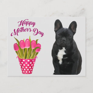 postcard French Bulldog Mother's Day