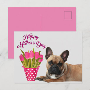 postcard French Bulldog Mother's Day