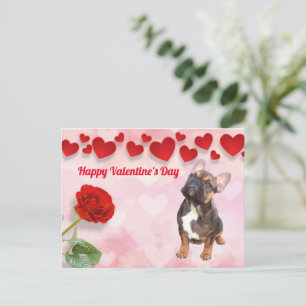 Postcard French Bulldogge Valentine's Day