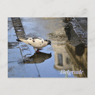 Postcard from Belgrade