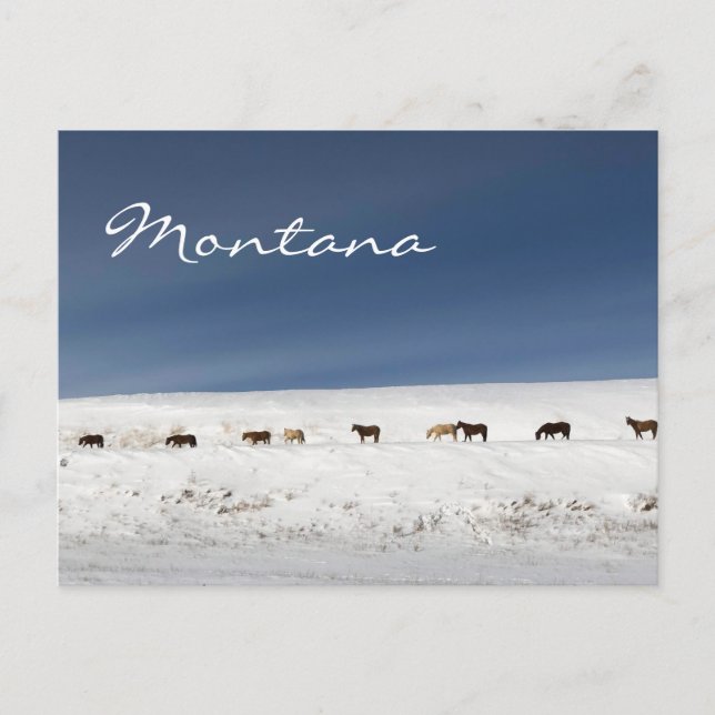 Postcard from Montana (Front)