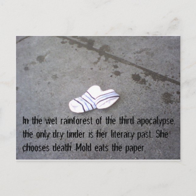 Postcard from the Post-Apocalypse #5 Fin (Front)