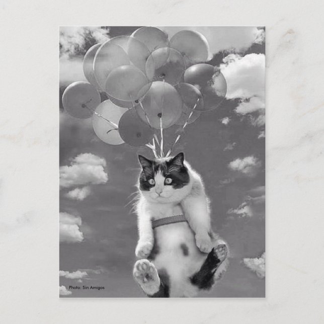 Postcard: Funny cat flying with Balloons Postcard (Front)