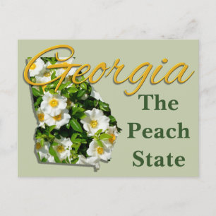 Postcard - GEORGIA