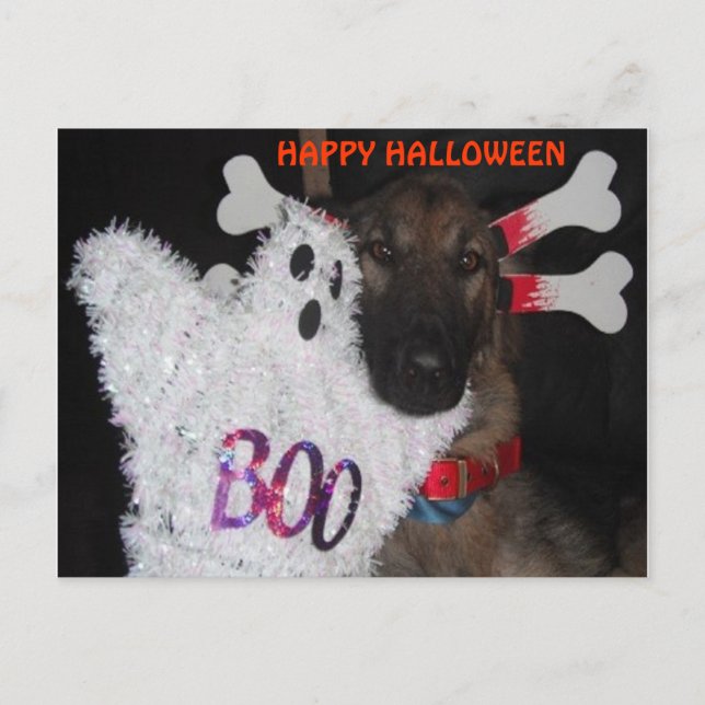 Postcard German Shepherd Halloween Boo (Front)