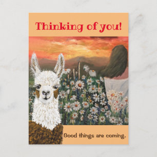 Postcard. Good Things Are Coming Mama Llama Postc Postcard