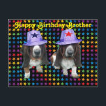 Postcard Happy Brother Birthday Basset<br><div class="desc">Postcard Happy Birthday Brother - 2 basset hounds upon stars wearing star hats</div>