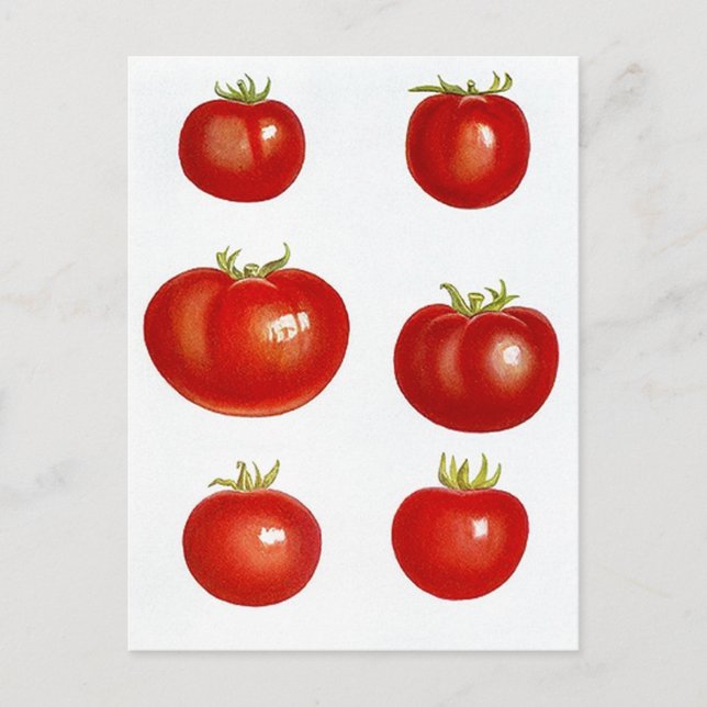 Postcard Heirloom Garden Tomatoes Farmers Market (Front)