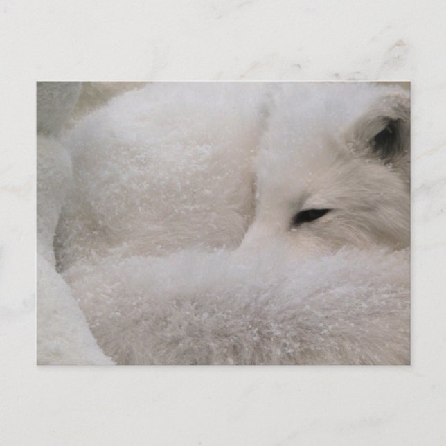 Postcard Horizontal Template - Customized (Front)