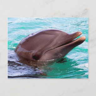 Postcard Horizontal Template - Customized