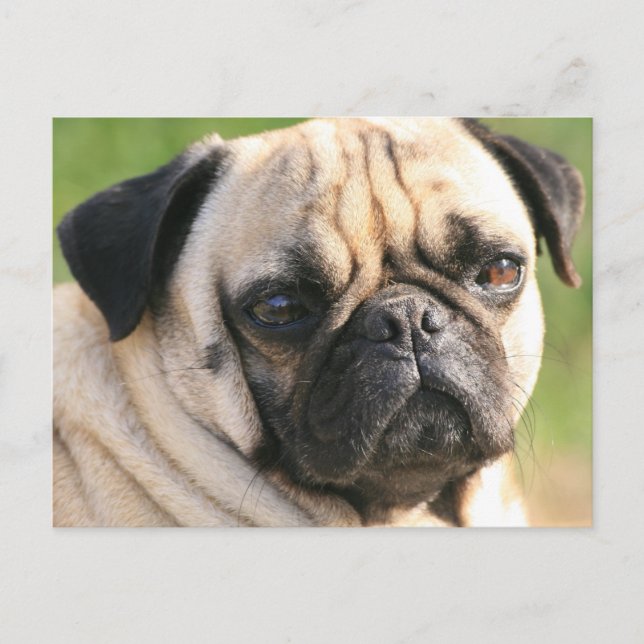 Postcard Horizontal Template - Customized (Front)