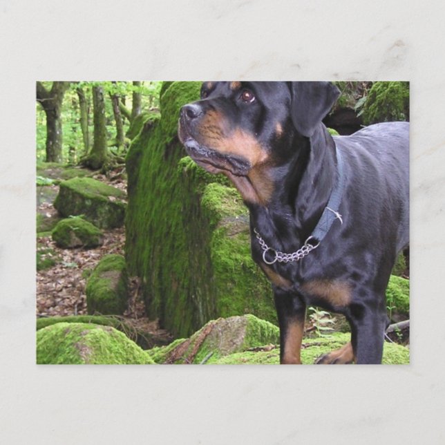 Postcard Horizontal Template - Customized (Front)