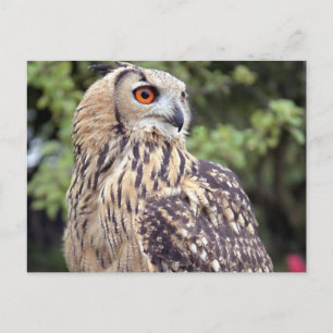 Postcard Horizontal Template - Customized