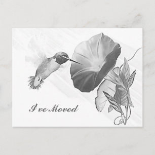 Postcard Hummingbird & Morning Glory I've Moved PC