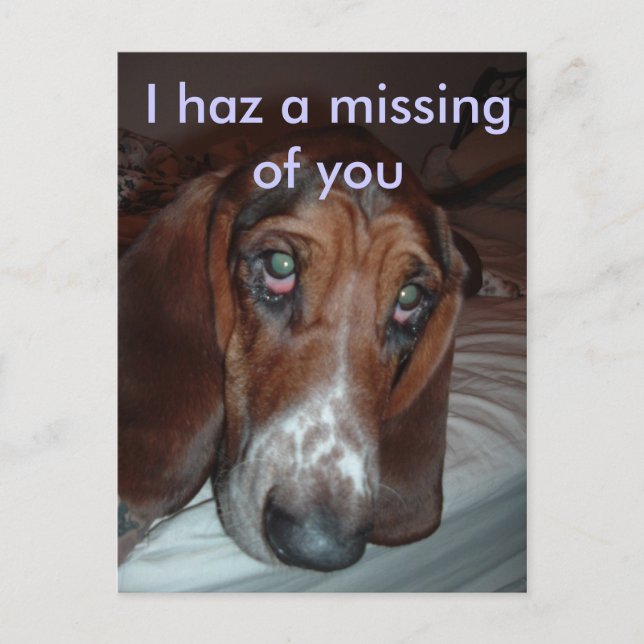 Postcard: I haz a missing of you Postcard (Front)