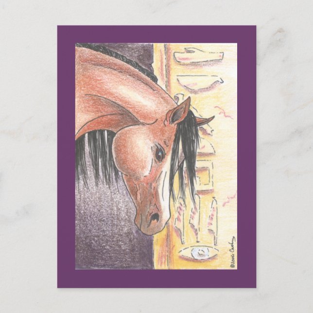 Postcard "Ibn Denah" (Front)