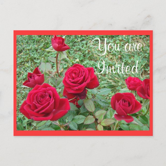 Postcard Invitation or Announcement-customize (Front)