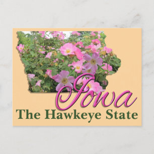 Postcard - IOWA