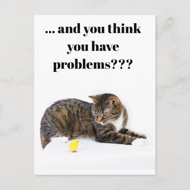 Postcard Katze schaut "Küken" an schwarzer Humour (Front)