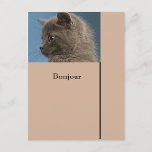Postcard Keep in touch with Zazzle custom postcard