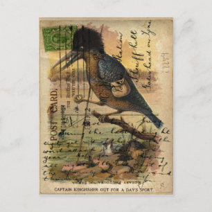 Postcard Kingfisher