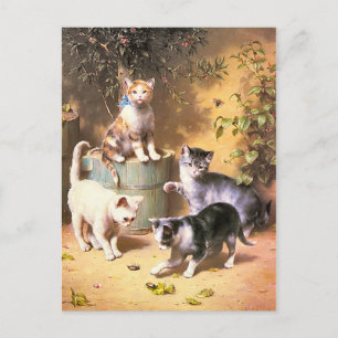 Postcard: "Kittens Playing with Beetles" Postcard