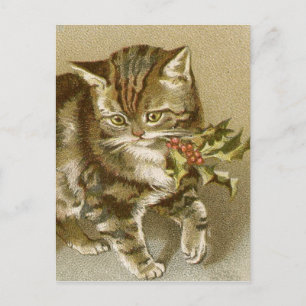 Postcard:  Kitty with Holly Sprig Postcard