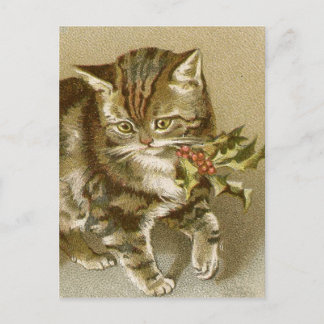 Postcard: Kitty with Holly Sprig Postcard