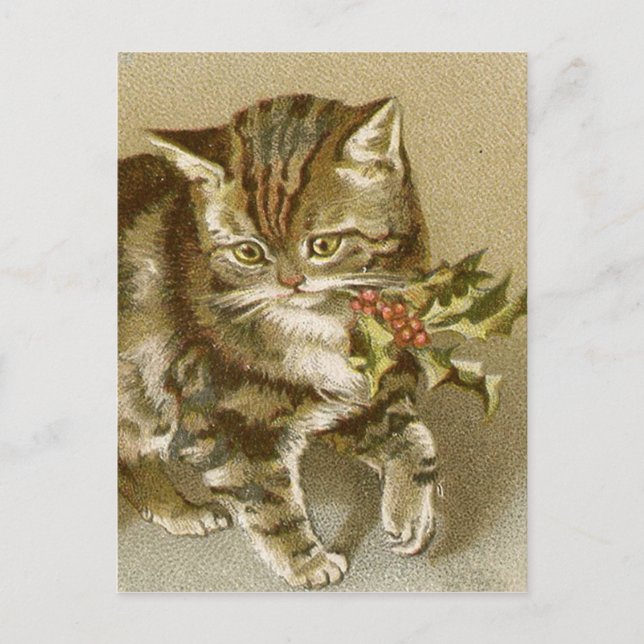 Postcard:  Kitty with Holly Sprig Postcard (Front)