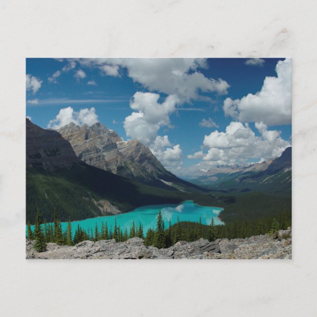 Postcard Lake Peyto in Banff National Park, Canada (Front)