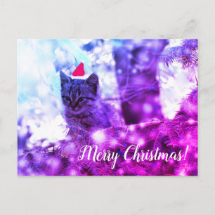 Postcard Merry Christmas Kitten