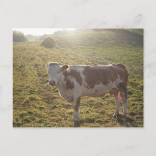 Postcard "Milky Way"