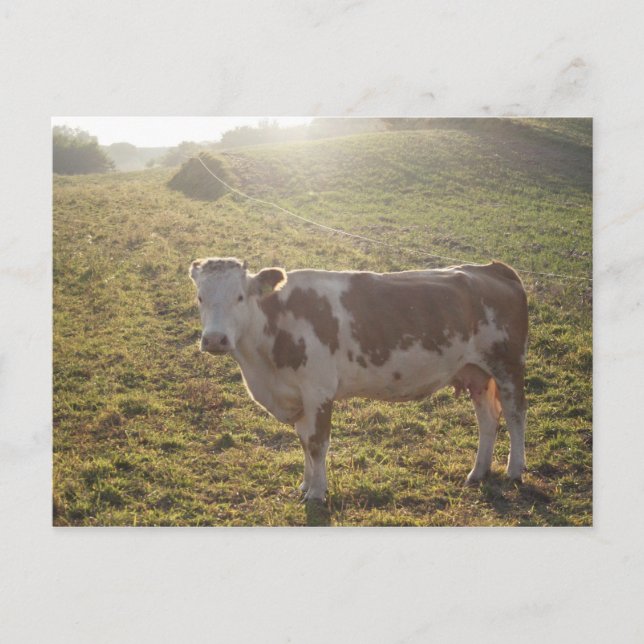 Postcard "Milky Way" (Front)