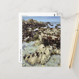 Postcard - Monterey, California