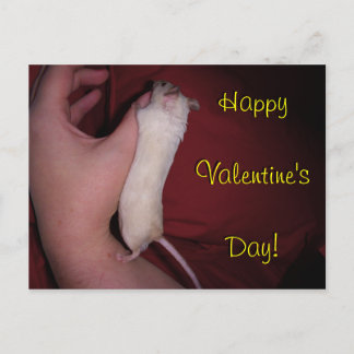Postcard: Mouse Hug Valentine Holiday Postcard
