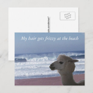 Postcard -  My Hair Gets Frizzy ...