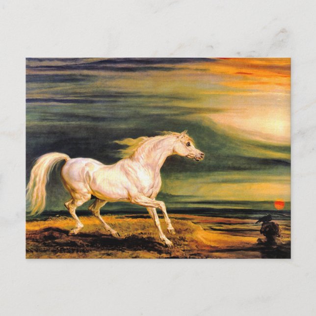 Postcard: Napoleon's Marengo Postcard (Front)