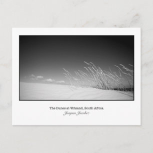 Postcard of wild grasses on dune.