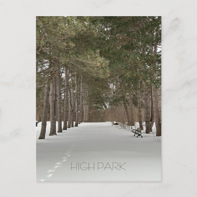 Postcard of winter in High Park, Toronto (Front)