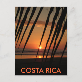 Postcard Palm Sunset, COSTA RICA