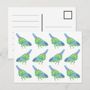 Postcard (pattern white) - Oak Treehopper