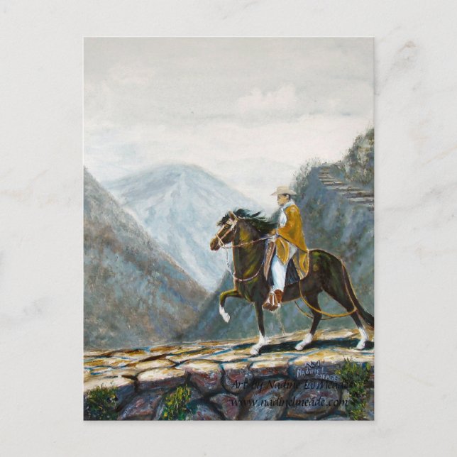 Postcard, Peruvian Paso ridden on a Mountain trail Postcard (Front)