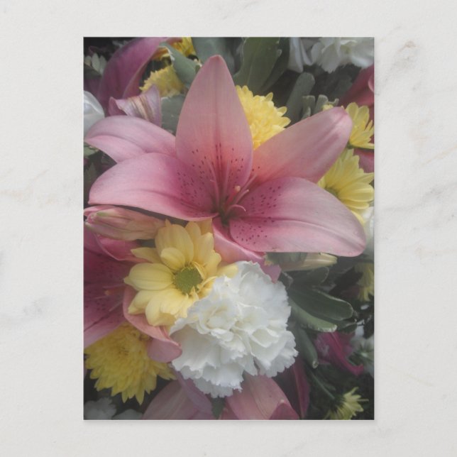 Postcard Pink Lily Beauty (Front)