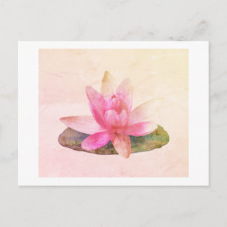 POSTCARD : PINK LOTUS