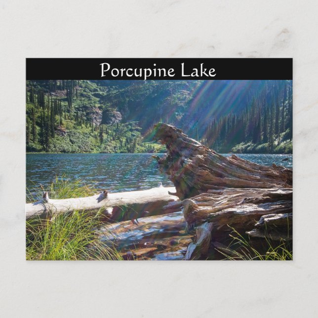 POSTCARD ~ "Porcupine Lake" near Clark Fork, Idaho (Front)
